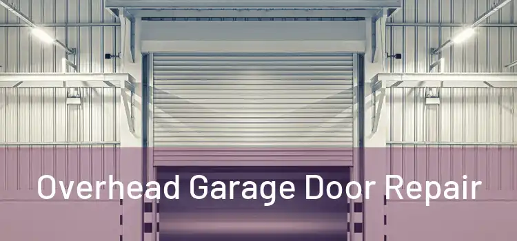  Overhead Garage Door Repair 
